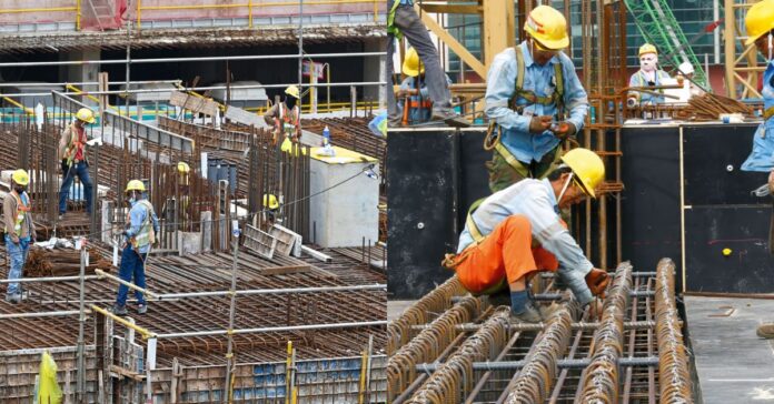 TEP Pass for Singapore Workers in Bengali